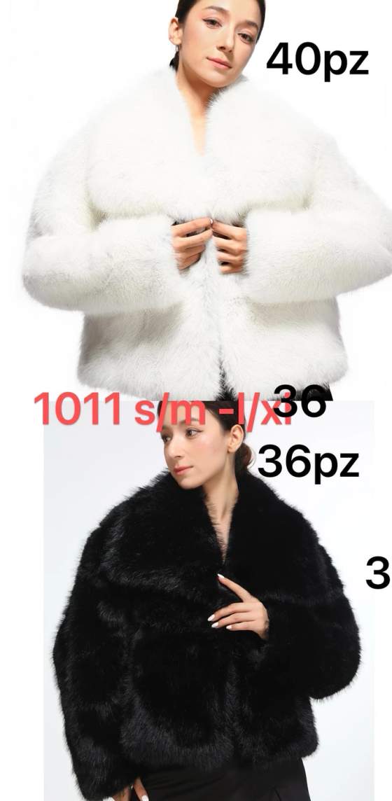 1011W白